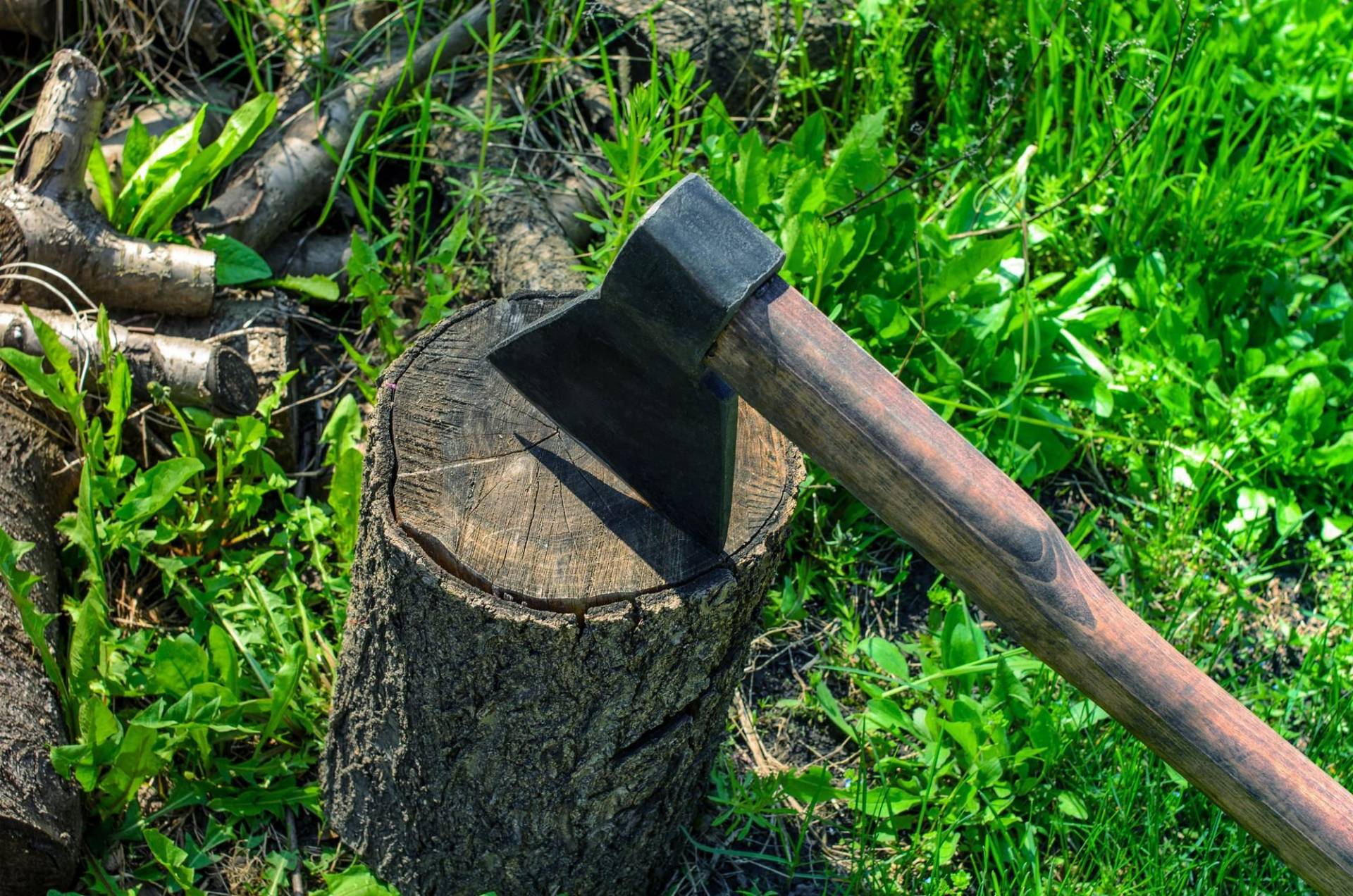 The Best American Made Axe Reviews In 2024 By Experts