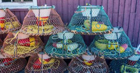 The Best Bait For Blue Crab Traps: Top Picks & Guidance In 2025