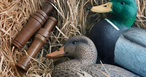 The Best Beginner Goose Call Of 2024: Best Picks & Buying Guides