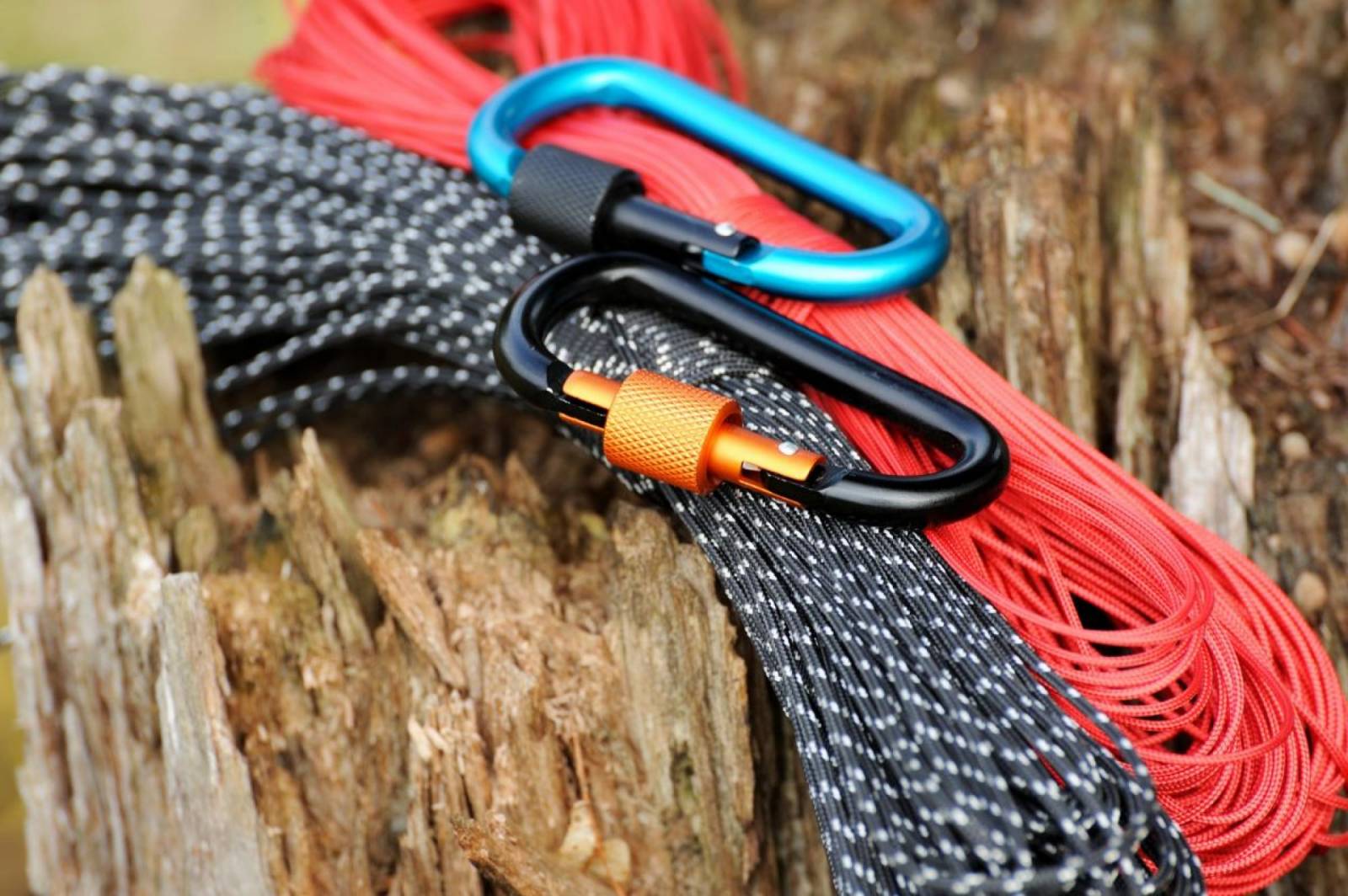 The Best Climbing Rope For Beginners In 2026: Purchasing Guidance