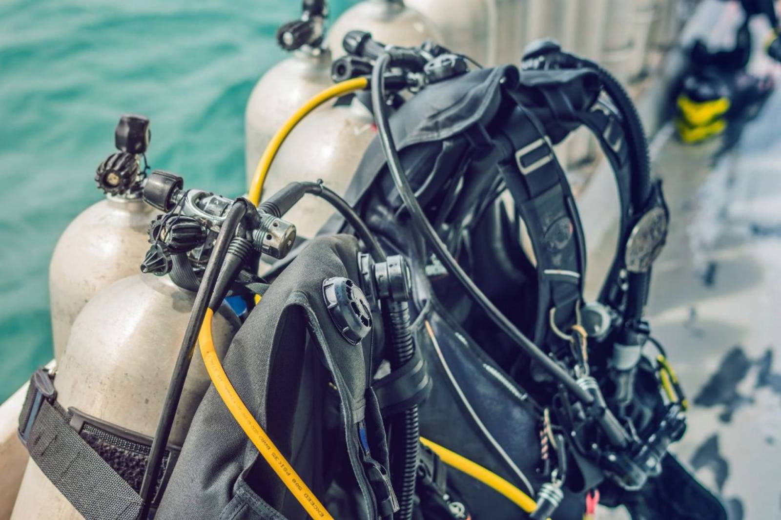 The Best Regulators For Diving To Buy You Should Know In 2024
