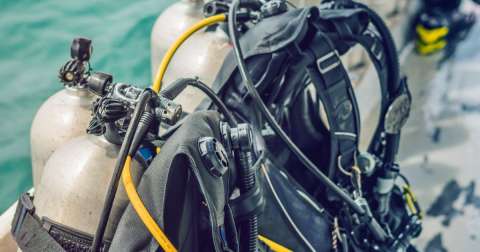 The Best Regulators For Diving To Buy You Should Know In 2024