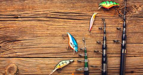 The Easy To Use Fishing Rods: Buying Guide 2024