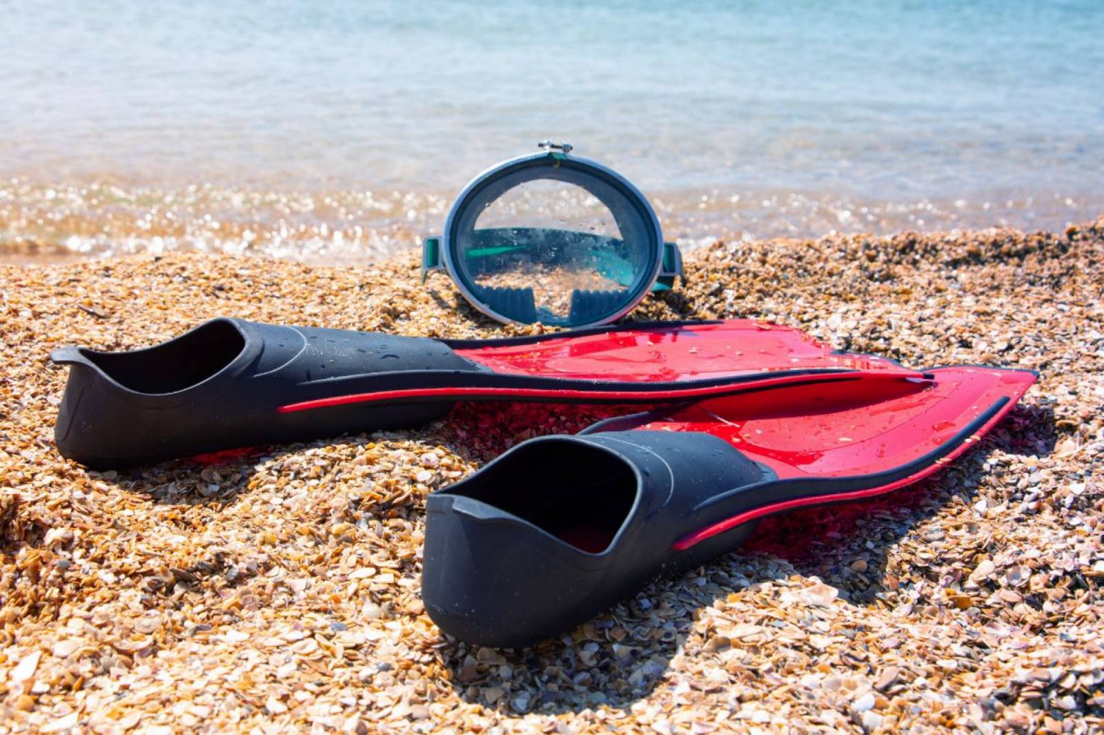 The Full Foot Scuba Fins Greatest Buying Guide In 2024