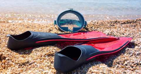The Full Foot Scuba Fins: Greatest Buying Guide In 2024