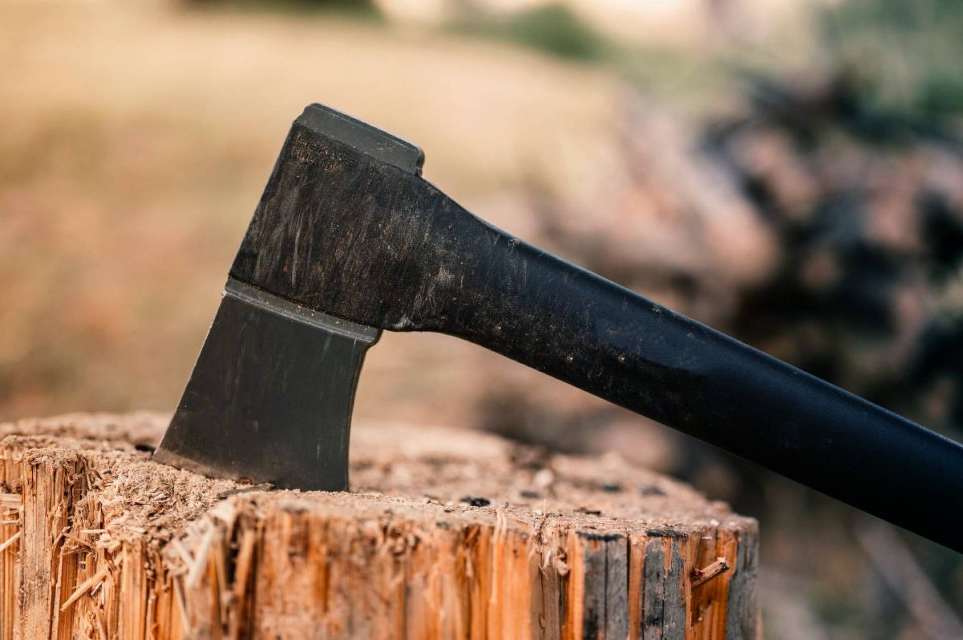 The Best Axe Ever Of 2025: Reviews And Buyers Guide