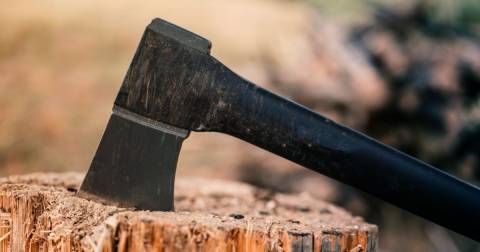 The Best Axe Ever Of 2024: Reviews And Buyers Guide