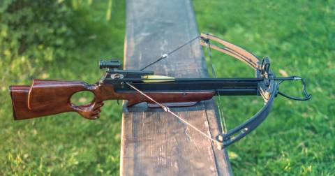 The Best Bow For Hunting Deer In 2024