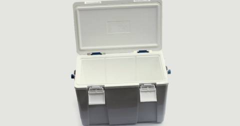 Best Ice Box Cooler In The Word: Our Top Picks In 2025