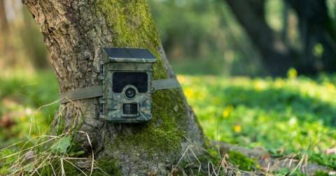 Best Solar Cellular Trail Camera - Buying Guide 2024