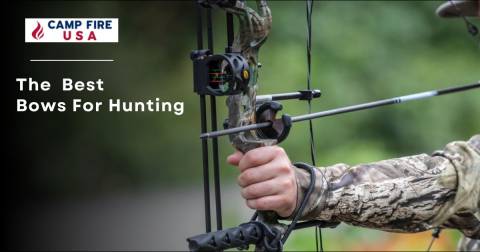 The Best Bows For Hunting: Highly Recommended Of 2024
