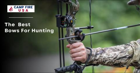 The Best Bows For Hunting: Highly Recommended Of 2025