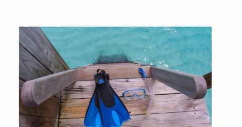 The Best Diving Fins In 2025: Our Top Picks