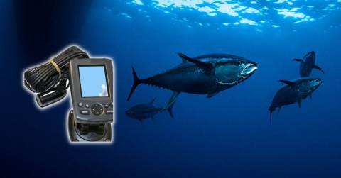 The Best 9 Inch Fish Finder Of 2024: Top-rated And Buying Guide
