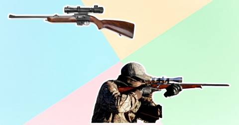 The Most Accurate 22 Pellet Rifle In 2024: Top Picks And FAQs