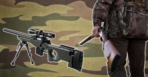 The Most Powerful Co2 Rifle: Best Choices For Shopping In 2025