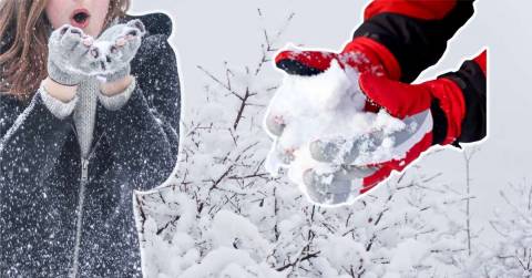 The Best Gloves For Winter Of 2025: Rankings And Tips For You