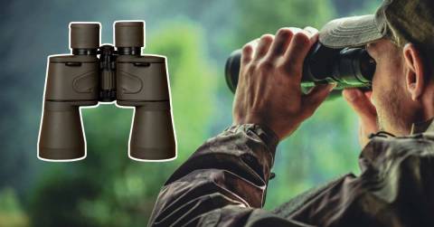 The Best 8x42 Binoculars Of 2024: Buying Guides