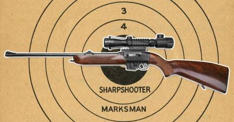 The Best Regulated Pcp Air Rifle For 2024