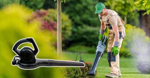 The Most Powerful Backpack Leaf Blower In 2024: Purchasing Guidance