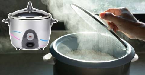 The Best 2 Cup Rice Cooker Top Picks: Updated In April 2025