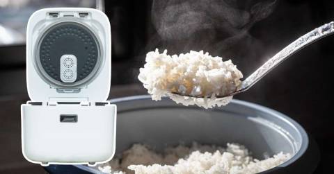 The Best Aroma Housewares Rice Cookers Of 2023: Buying Guides