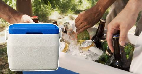 The Most Efficient Cooler: Top Picks 2024