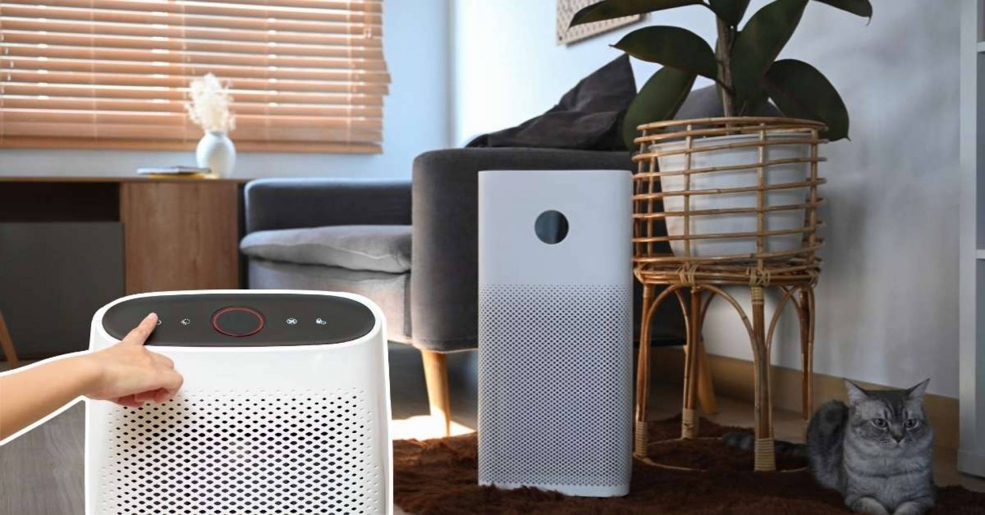 The Best Rv Air Purifier In 2024 Purchasing Guidance