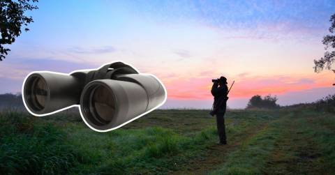 The Best 8x42 Binoculars For Hunting Of 2024: Best Picks & Buying Guides