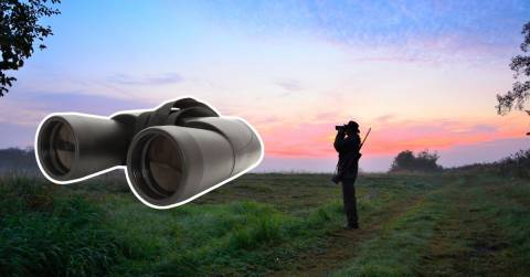 The Best 8x42 Binoculars For Hunting Of 2025: Best Picks & Buying Guides