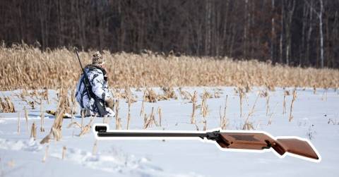 The Complete Guide For Best Air Rifle For Coyotes Of 2025