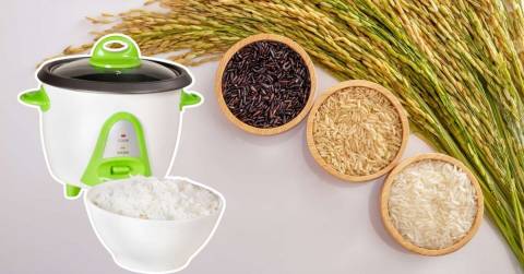 The Best Compact Rice Cooker Of 2024: Rankings And Tips For You