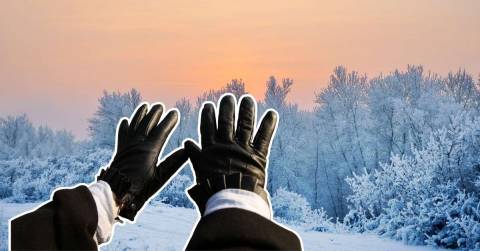 The Best Leather Winter Work Gloves For 2025