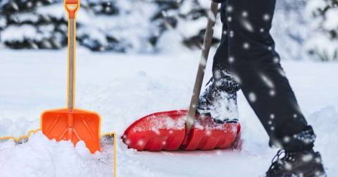 The Best Snow Shovel Mountaineering: Best Choices For Shopping In 2024