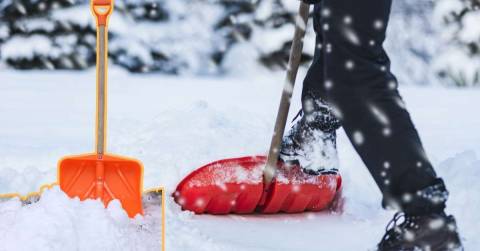 The Best Snow Shovel Mountaineering: Best Choices For Shopping In 2025