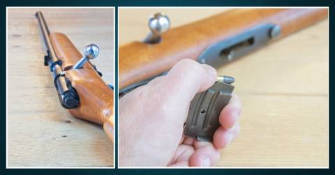 The Best 22 Caliber Pcp Air Rifle For 2025