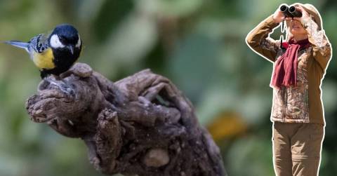 The Best Affordable Birding Binoculars Of 2025: Top-rated And Buying Guide