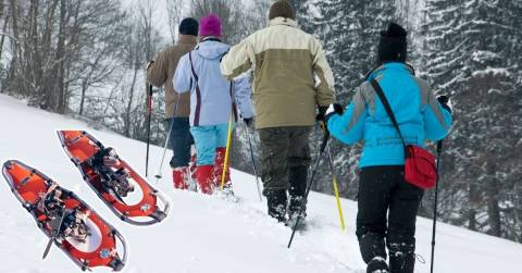 The Best Snowshoes For Beginners In 2025