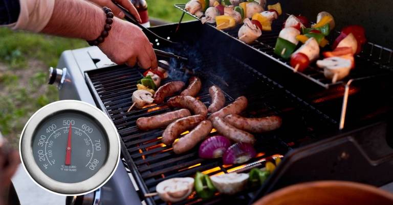 Best Bbq Temperature Gauge