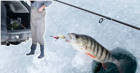 Picking Up Best Cold Weather Waders Of 2024: A Complete Guide