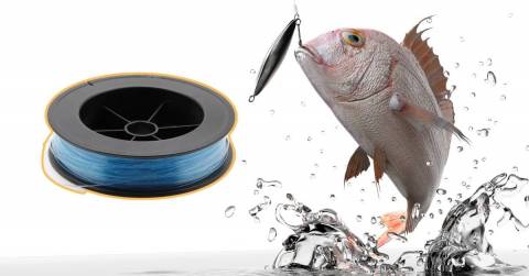 The Most Abrasion Resistant Fishing Line For 2024