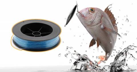 The Most Abrasion Resistant Fishing Line For 2025