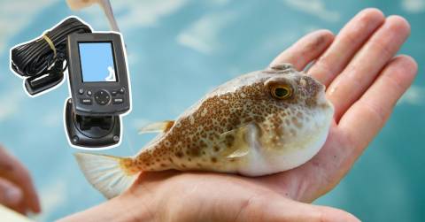 The Most Accurate Fish Finder In The Word: Our Top Picks In 2024