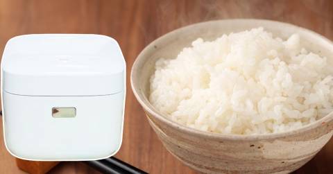 The Best 4 Cup Rice Cooker Of 2024: Top-rated And Buying Guide