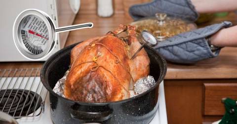 The Best Smart Meat Thermometer: Top Picks & Buying Guides 2025