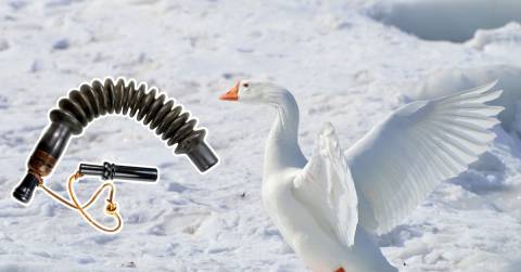 The Best Snow Goose Calls Of 2024: Top Picks & Guidance