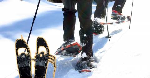 The Best Hiking Snowshoes: Top Picks & Guidance In 2024