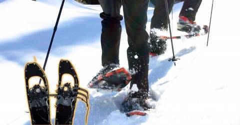 The Best Hiking Snowshoes: Top Picks & Guidance In 2025