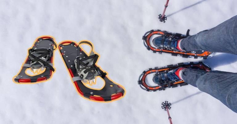 Lightweight Snow Shoes