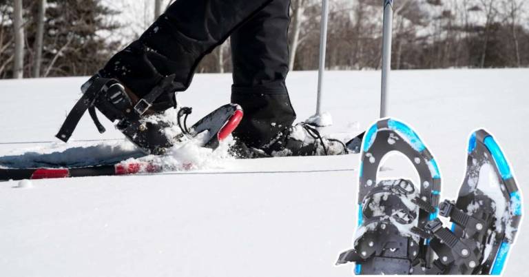 Best Backcountry Snowshoes
